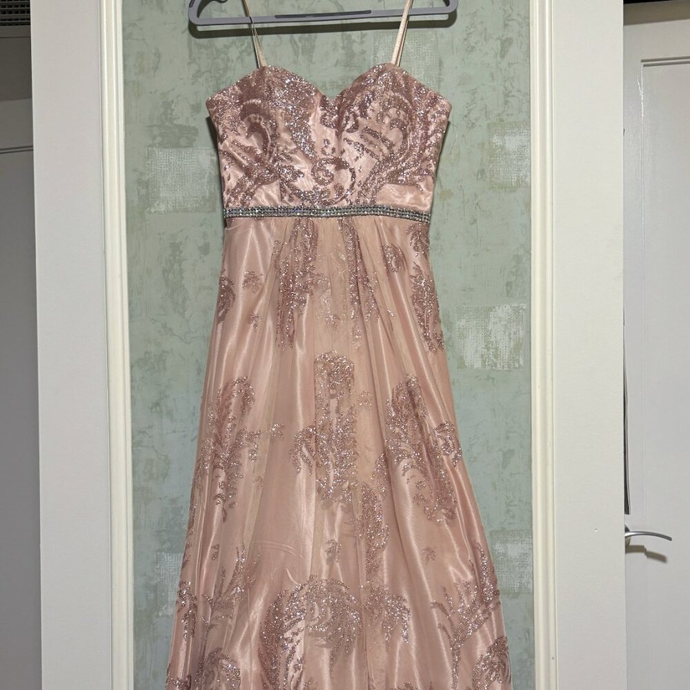 Champagne Pink Prom Gown (*Brand New*) Size 2